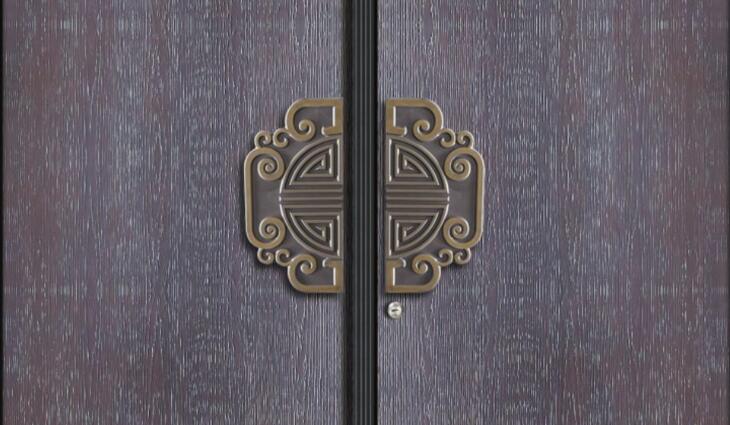 别墅入户门非标定制拉手